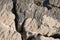 Textured surface of large rocks near the shore.