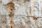 Textured white metal wall exhibits rustic beauty with rust stains