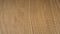 Textured wood finish treated and varnished. Blank for design. Material for the manufacture of furniture