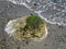 Textures of the beach with rocks, seaweed and driftwood