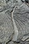 Textures of black lava (pahoehoe) in Santiago island