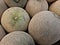 Textures fresh melons on the market for background