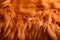 Textures red fox fur. Red fox shaggy fur texture cloth abstract, furry rusty texture plain surface