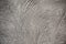 Texturized grey putty. Vintage or grungy background of venetian