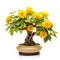 Thai Art Inspired Sunflower Bonsai: Exquisite Toraji Style Creation