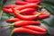 Thai Bird Chilli Red or chilli cayenne pepper