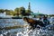 Thai boat, Wat Arun, Bangkok, Thailandia