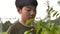 Thai boy using scissors cutting green branch in the garden, Child activities in garden.