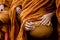 Thai Buddhism monks pray