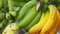 Thai Cavendish banana and Pisang Awak on sale