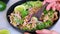Thai chicken salad larb gai with onion, cucumber and mint.