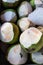Thai coconuts