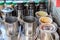 Thai coffee equipment in market