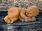 Thai crafts, terracotta statues, Thai sleeping on dry wood.