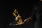 Thai cuisine, the chef cooks shrimps with lemon, frying in a pan. Freezing in motion, on a black background. Advertising photo,