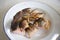 Thai cuisine , Fried Sun dried Snakehead Fish