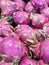 Thai Dragon fruit, Hylocereus, Cactaceae, Fresh pink shell Green petals Sweet, sour or sweet