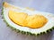 Thai Durian - King of fruit famous fruit in summer
