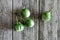 Thai Eggplant on a Rustic Background