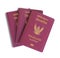 Thai electronic passports