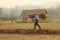 Thai farmer carrying their hand harvested crop of soybeans in to be processed on their organic farm in Northern Thailand,