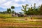 Thai farmer prepared soil for planting