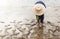 Thai farmer transplanting rice seedlings in paddy field