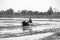 Thai Farmer using tiller tractor in rice field