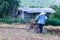 Thai farmer using walking tractors for cultivated soil for prepare plantation