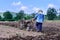 Thai farmer using walking tractors for cultivated soil for prepare plantation