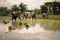 Thai farmers collaborate to grow rice in the rainy season : Lifestyle of rural people