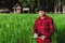 Thai farmers inspecting rice fields in the fields