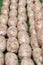 Thai ferment sour sausage