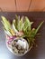 Thai Flowers and Water with Som poi Acacia concinna water in tray with pedestal on wood table (Use for Songkran festival in t