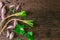 Thai food herb garlic and coriander ingredient on wood