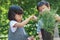 Thai girls and boys with cute looks in the hands of girls holding scissors To cut fresh rosemary vegetables. The two helped each