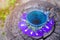 Thai herbal hot pea juice or Blue pea flower, ready to drink in a glass, placed on a wooden floor. Green background