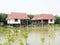 Thai huts style in mangrove forest