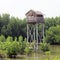 Thai huts style in mangrove forest