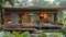 Thai Isaan houses and Japanese Muji style in realistic photographs, showcasing minimalist architecture that harmoniously