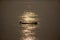 Thai and laos people riding long tail boat for catch fishing and reflection light surface water of Mekhong River and lighting of