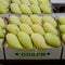 Thai mangoes in market. Premium size mangoes