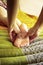 Thai massage, Reflexology concept