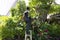 Thai men people gardening and cutting pruning branch Plumeria tree in garden at front of home at Nonthaburi, Thailand