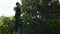 Thai men people gardening and cutting pruning branch Plumeria tree in garden at front of home at Nonthaburi, Thailand