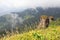 Thai mountain with two rocks