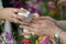 Thai New Year - young peoples pouring water and flowers on the hands of senior in Songkran ceremony