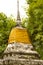 Thai pagoda with bamboo