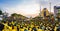 Thai people wear yellow shirts and are waiting for His Majesty King Rama 10 through Ratchadamnoen Road, Bangkok, Thailand