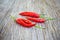 Thai pepper, Chilli Padi, Bird\'s Eye Chilli, Bird Chilli